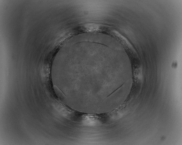 X0000097990372200804021014