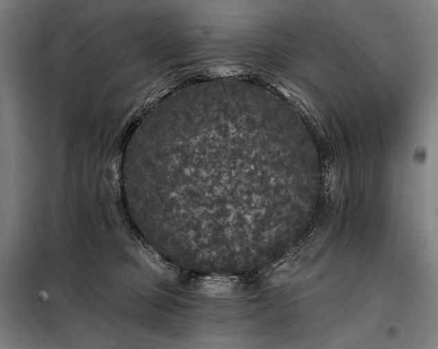 X0000097990373200804021014