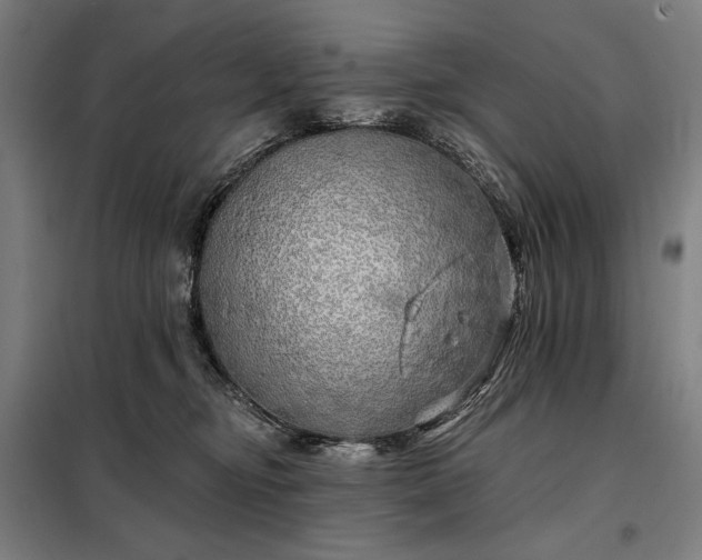 X0000097990374200804021014