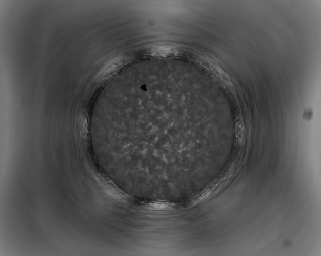 X0000097990375200804021014