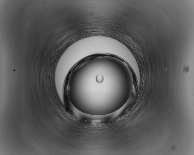 X0000097990376200804021014