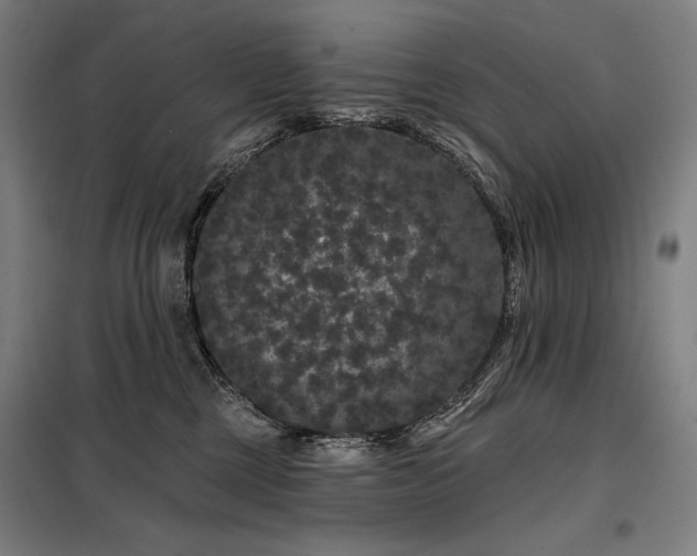 X0000097990377200804021014