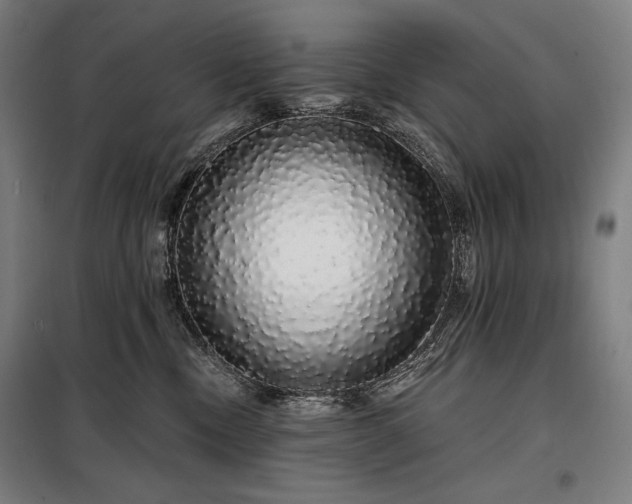 X0000097990378200804021014