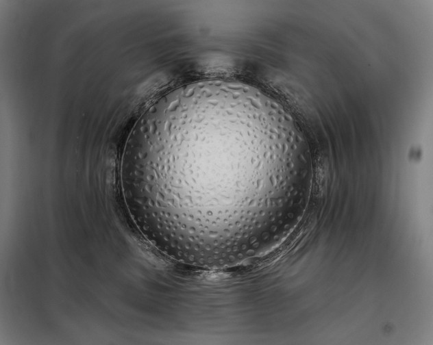 X0000097990379200804021014