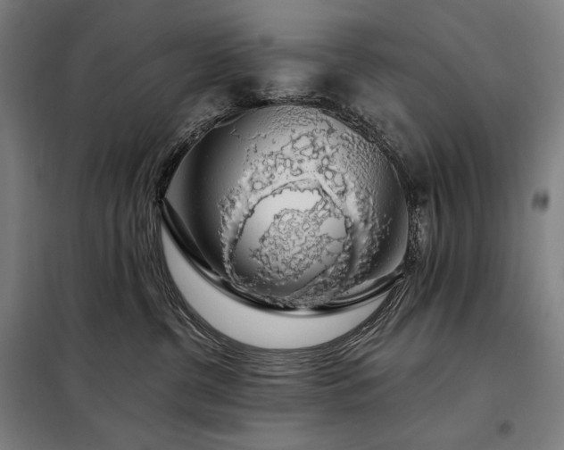 X0000097990380200804021014