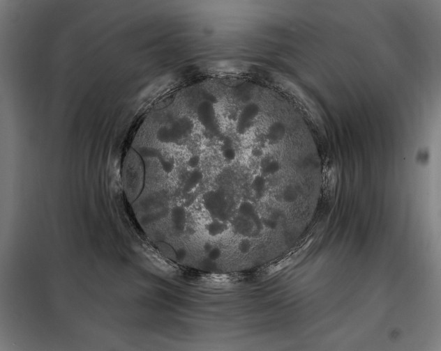 X0000097990381200804021014
