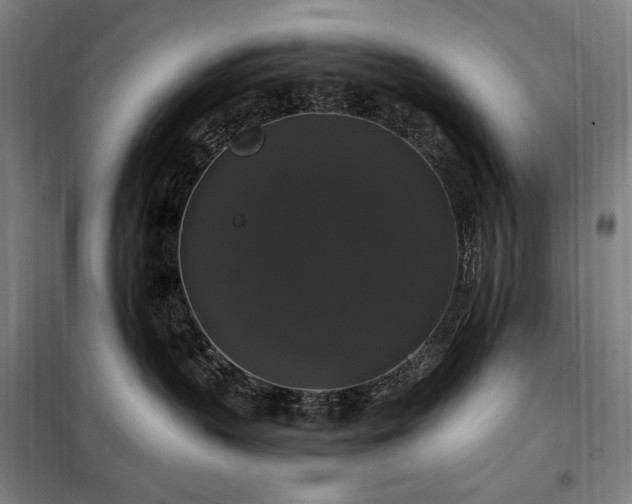 X0000097990383200804021014