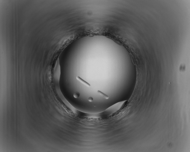 X0000097990384200804021014