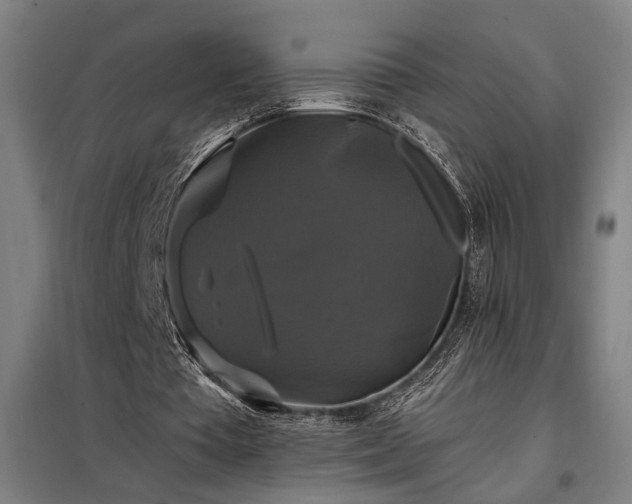 X0000097990385200804021013
