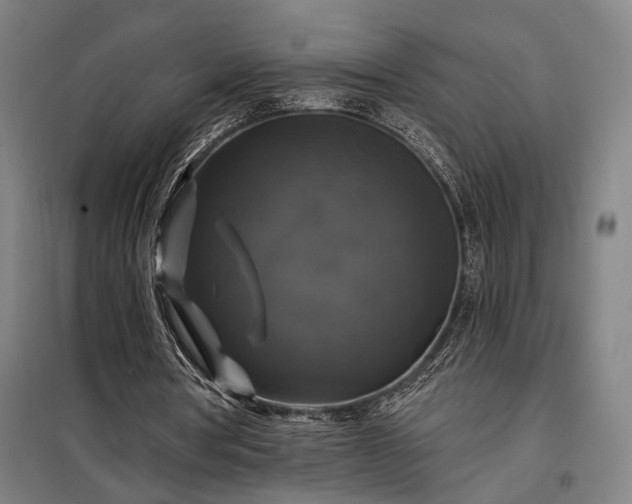 X0000097990386200804021013