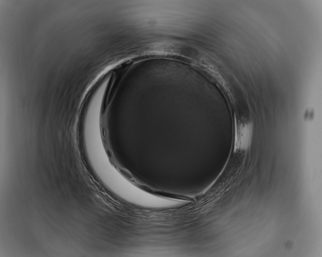 X0000097990387200804021013