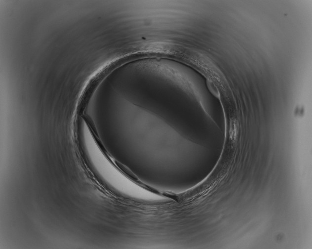 X0000097990388200804021013