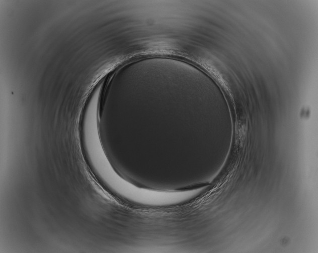 X0000097990389200804021013