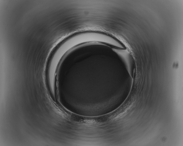 X0000097990391200804021013