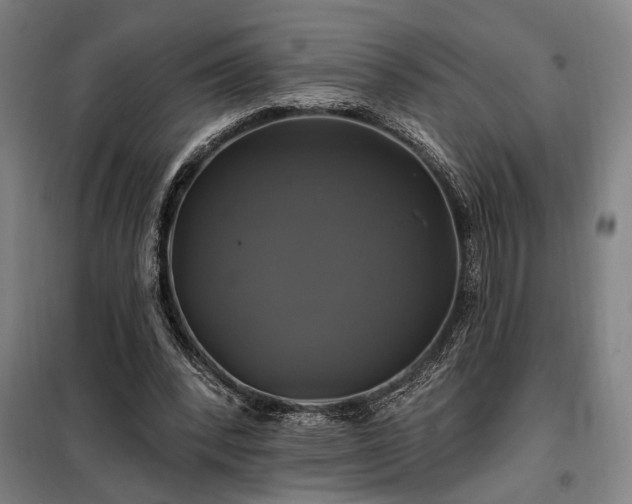 X0000097990392200804021013