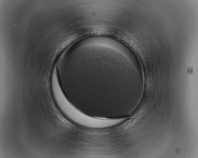 X0000097990393200804021013
