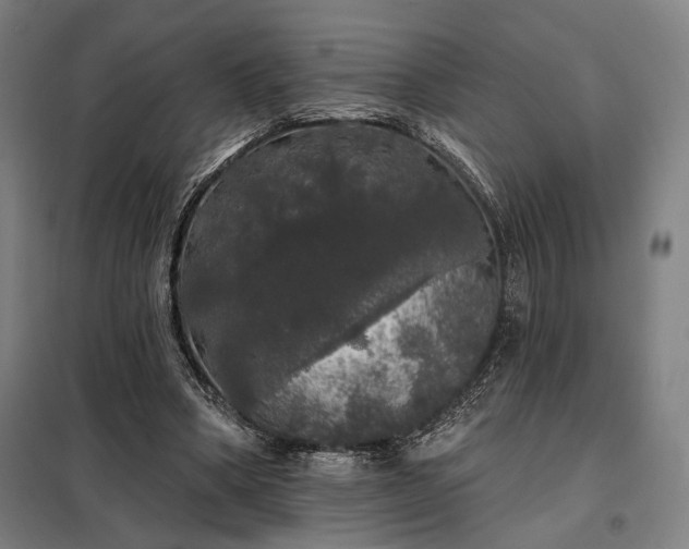 X0000097990394200804021013