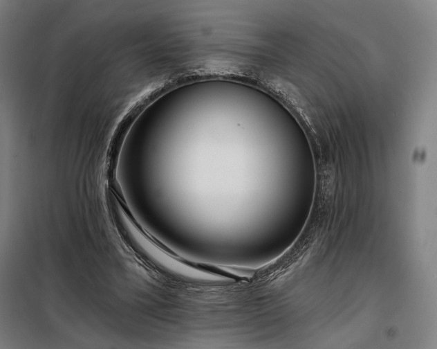 X0000097990395200804021013