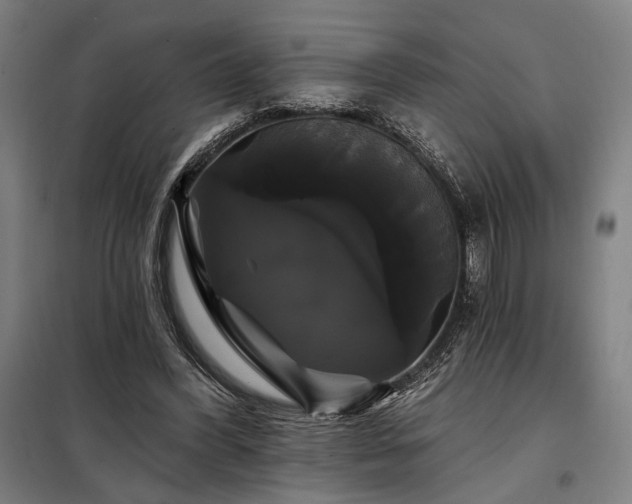 X0000097990396200804021013