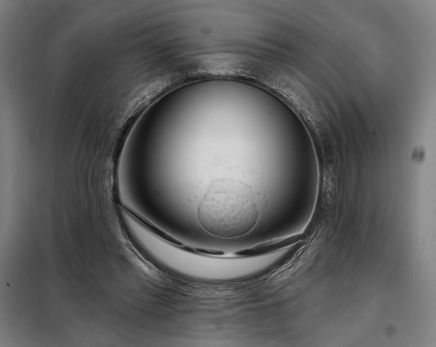 X0000097990397200804021013