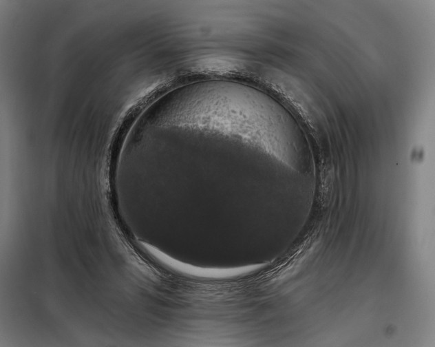 X0000097990399200804021013