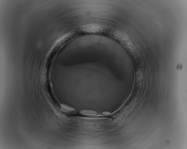 X0000097990400200804021013