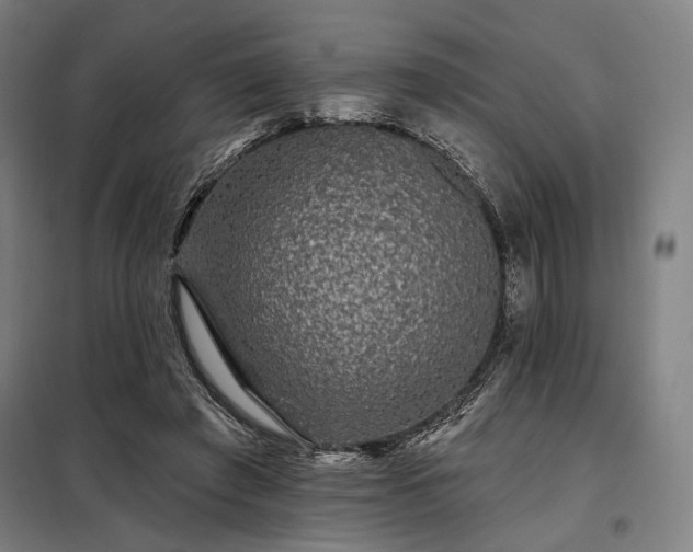 X0000097990401200804021013