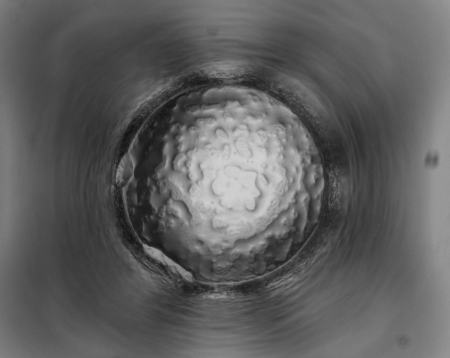 X0000097990404200804021013