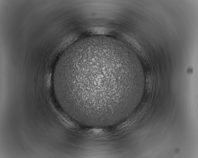 X0000097990406200804021013