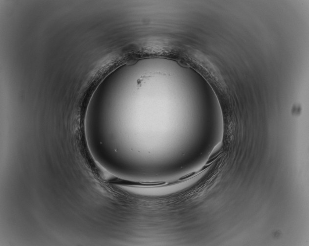 X0000097990407200804021013
