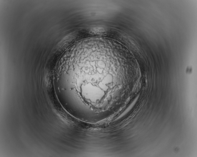 X0000097990408200804021013