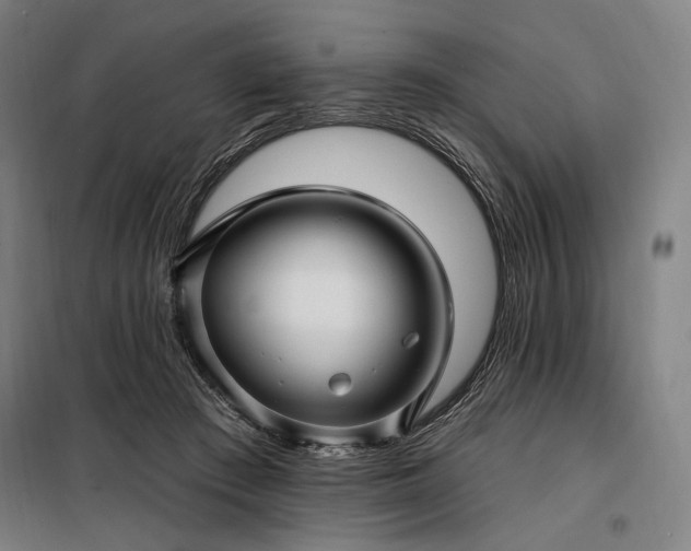 X0000097990409200804021013