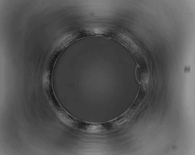 X0000097990410200804021013