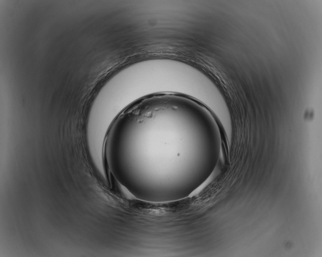 X0000097990411200804021013