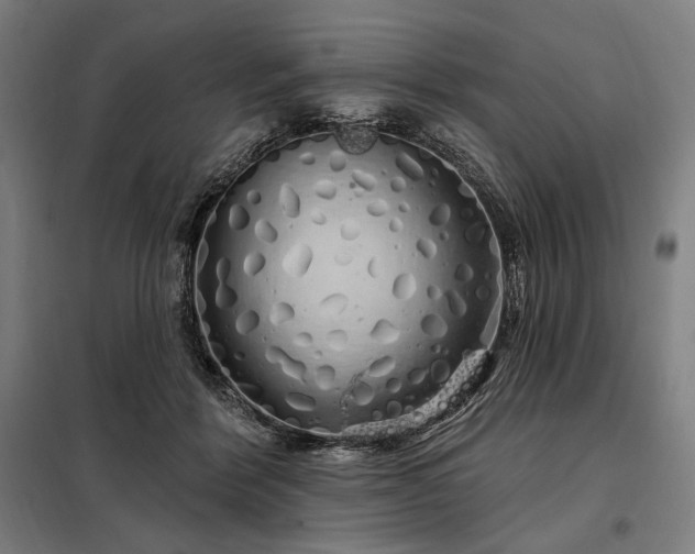 X0000097990412200804021013