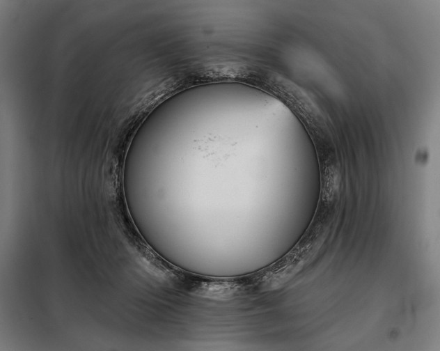 X0000097990414200804021013