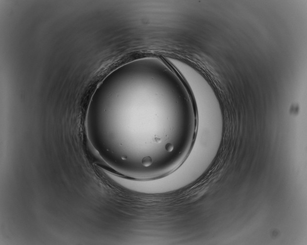 X0000097990415200804021013