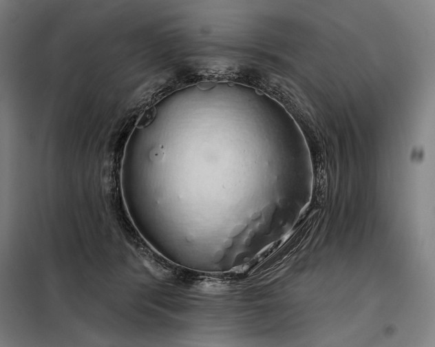 X0000097990416200804021013