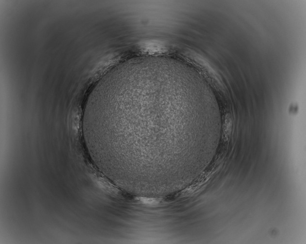 X0000097990417200804021013