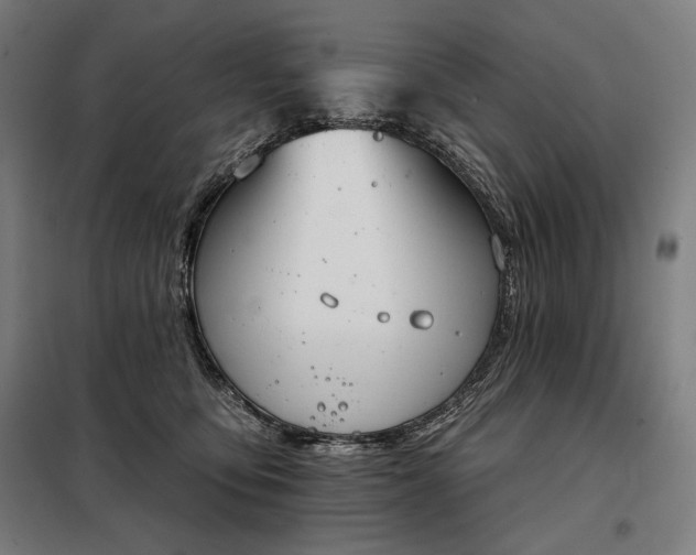 X0000097990419200804021013