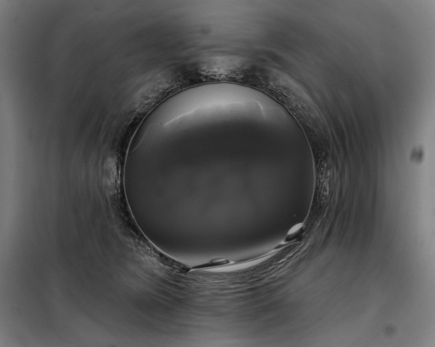 X0000097990420200804021013