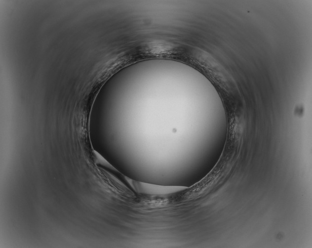 X0000097990421200804021013