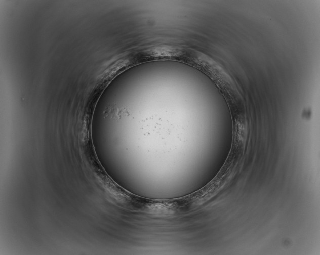 X0000097990422200804021013