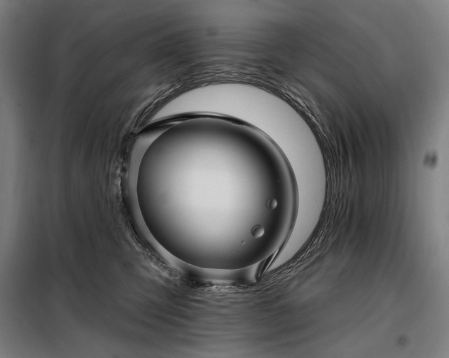 X0000097990423200804021013
