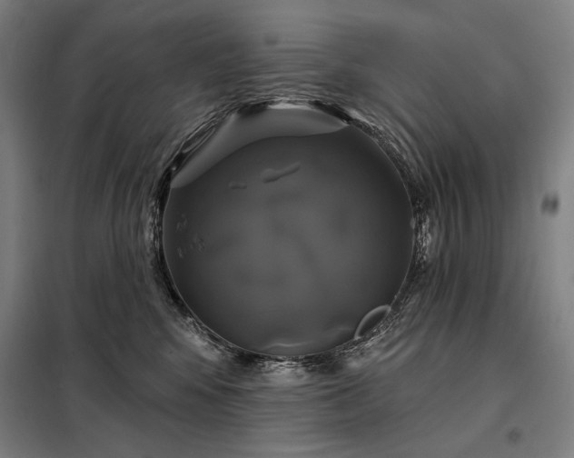 X0000097990424200804021013