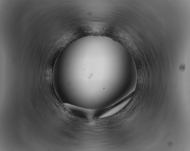 X0000097990425200804021013