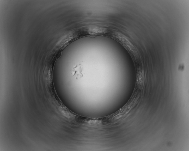 X0000097990426200804021013