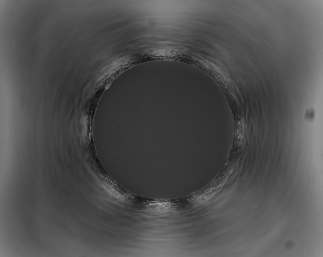 X0000097990428200804021012