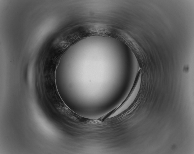 X0000097990429200804021012