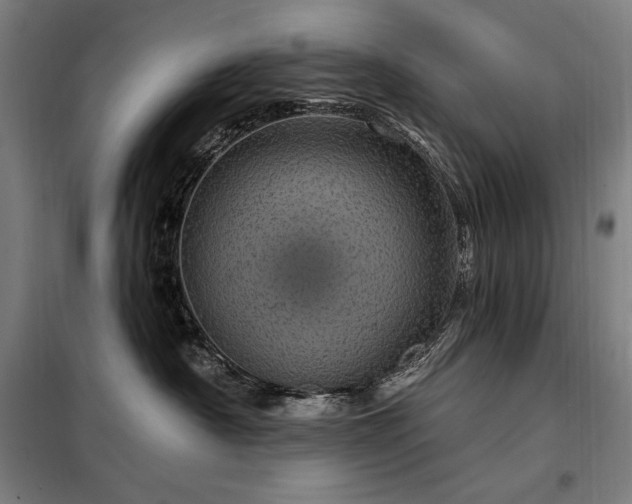 X0000097990430200804021012